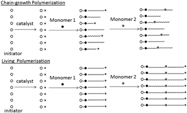 Schematic model of chain-growth polymerization and living polymerization.