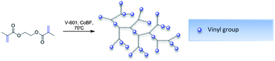 General reaction scheme for CCTP of ethylene glycol dimethacrylate (EGDMA).21