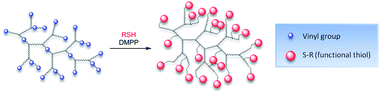General thio-Michael addition reaction scheme for a branched vinyl terminated polymer with a functional thiol.