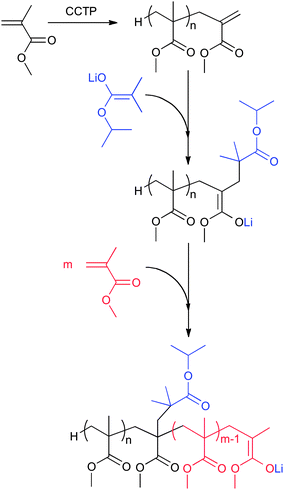 Schematic representation of the use of macromonomers as macro-initiators for the anionic polymerization of methacrylates. Example shows PMMA macromonomer in the anionic polymerization of MMA.