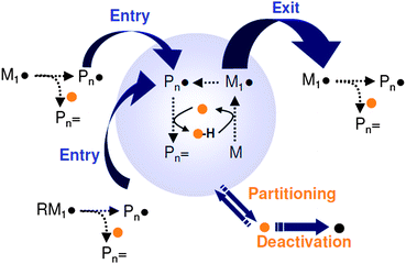 Effect of a catalytic chain transfer agent on the emulsion polymerization kinetics.