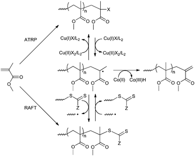 CCT conversion of ATRP and RAFT polymers to methacrylic macromonomers (example shown for MMA).