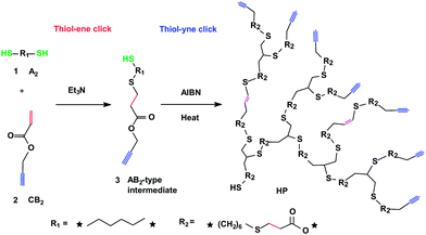 Sequential thiol–ene and thiol–yne click chemistry approach to rapid, easy synthesis of HPs via the A2 + CB2 framework.