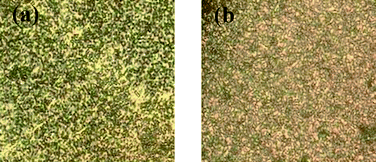 Typical texture of (a) PMOF0 powders observed at ca. 190 °C, (b) PMOF5chloroform solution as observed with a polarized optical microscope.