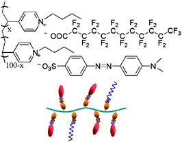 The chemical structure of the co-assembled PMOF complex and a schematic representation of the complex.