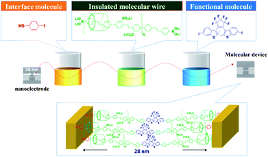 A new method to interconnect molecules between nanoscale electrodes using a simple liquid solution process.3