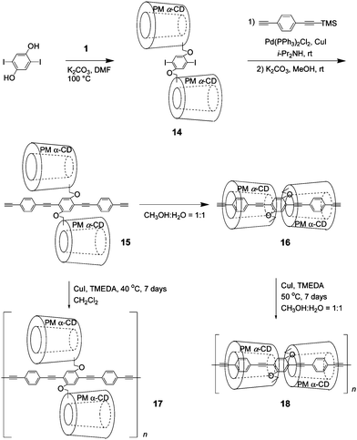 Syntheses of fully covered polymer 18 and uncovered polymer 17 by polymerization of 15 in different solvents.15,18,19