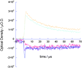 Transient absorption kinetic traces observed for a solid film of 19 with 2.5 mol% PDCI upon excitation at 355 nm, 6.5 × 1016photons per cm2. The traces are recorded at 600 (orange), 700 (light blue), 430 (blue), 420 (violet), and 410 nm (red).19