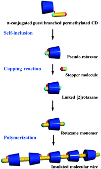 Synthesis of organic-soluble IMWs by polymerization of linked [2]rotaxane monomer.15