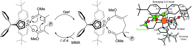 Propagation “catalysis” cycle (left) and transition state generating a stereomistake in the MMA polymerization by the cationic catalyst derived from 43.134