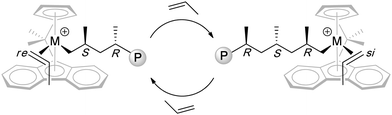 Proposed propagating species and catalyst-site stereocontrol in the syndiospecific polymerization of propylene by Cs-ligated catalysts.