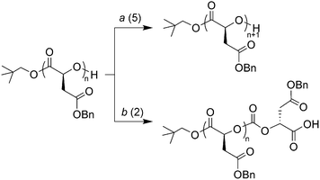 Products of ring-opening of l-malOCA at (a) 5-position of the OCA ring and (b) 2-position of the OCA ring.