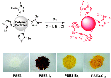 The reaction of PSE3 with halogens and their photographs before and after treatment of halogens.