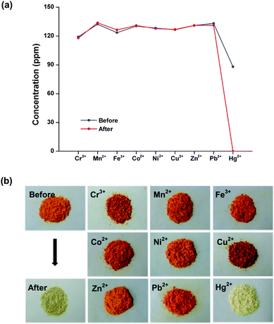 Selective adsorption of Hg2+ from a mixture of transition metal ions (Cr3+ (119 ppm), Mn2+ (132 ppm), Fe3+ (124 ppm), Co2+ (130 ppm), Ni2+ (128 ppm), Cu2+ (127 ppm), Zn2+ (131 ppm), Pb2+ (133 ppm) and Hg2+ (88 ppm)) by PSEA (the values are an average of three measurements) (a) and photographs showing the selective color change of PSEA by reaction with Hg2+; before adsorption, after treatment with 0.1 M mixture of Cr3+, Mn2+, Fe3+, Co2+, Ni2+, Cu2+, Zn2+, Pb2+ and Hg2+, after treatment with each metal ions (b).