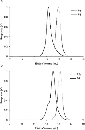 (a) Differential refractive index (dRI) GPC traces (THF 1.0 mL min−1) of P1 and resulting diblock copolymer P3 after chain extension, (b) dRI GPC traces (THF 1.0 mL min−1) of P2a and resulting diblock copolymer P4 after chain extension.