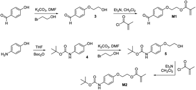 Synthesis of aldehyde and amino-functionalized methyl methacrylate-based monomers M1 and M2.