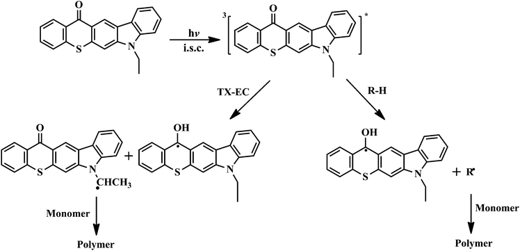 Photopolymerization mechanisms of free radical photopolymerization using TX-EC in the presence and absence of a hydrogen donor.