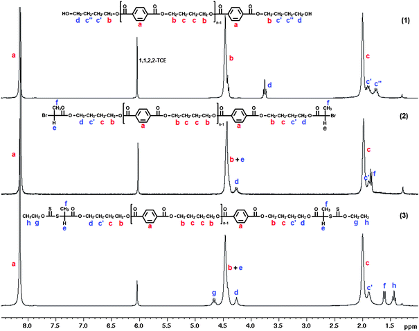 
            1H NMR spectra of (1) hydroxyl- (2) bromopropionate- and (3) xanthate-end-functionalized poly(butylene terephthalate).