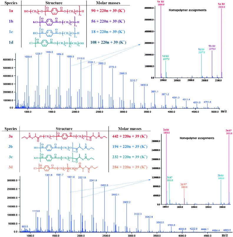 MALDI-TOF mass spectra of (1) hydroxyl- and (3) xanthate-end functionalized PBT after deisotoping procedure with structural homopolymers assignments of the peaks.