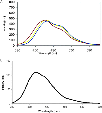 (A) Comparison of the emission spectra of poly-6-MOEG-9-TM-BF3k in CH2Cl2 (yellow), poly-6-MOEG-9-BF3k in CH2Cl2 (blue), and poly-6-MOEG-9-TM-BF3k in H2O (violet). The spectra were obtained at room temperature (excitation wavelength was 320 nm) and normalized with respect to the concentration (1.7 × 10−5 mol L−1). (B) Emission spectrum of chromophore model 5. The spectrum was obtained in dichloromethane (concentration ca. 2.7 × 10−5 mol L−1) at room temperature. The excitation wavelength was 310 nm.