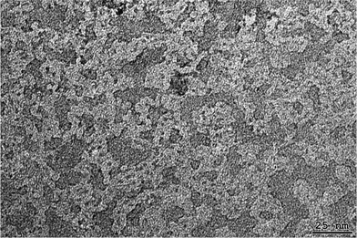 Structure of macromolecular aggregates found by TEM analysis of poly-6-MOEG-9-TM-BF3k solution in water.