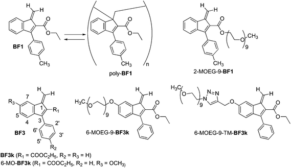 Structure of some benzofulvene derivatives.