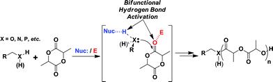 Proposed catalytic mechanism of ROP of lactide.