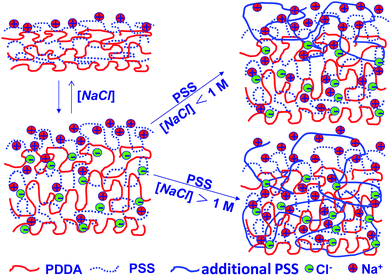 Mechanism of swelling and PSS addition at low and high salt concentrations.