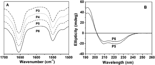 (A) Representative FT-IR spectra of P3 (PPLG84-g-MEO2), P4 (PPLG84-g-MEO3), P5 (PPLG112-g-MEO2) and P6 (PPLG112-g-MEO3), and (B) the CD spectra of P5 (PPLG112-g-MEO2) and P6 (PPLG112-g-MEO3), 0.01g L−1.