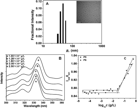 (A) Hydrodynamic radii (Rh) of PPLG112-g-MEO2 in aqueous solution at 25 °C determined by DLS. The inserted image is a representative TEM image of PPLG112-g-MEO2nanoparticles formed at room temperature, scale bar = 200 nm; (B) typical excitation spectra of pyrene in aqueous solution of PPLG112-g-MEO2 at different concentrations (λem = 390 nm); (C) the intensity ratio of I334/I331 as a function of concentration of P5 (PPLG112-g-MEO2) and P6 (PPLG112-g-MEO3).