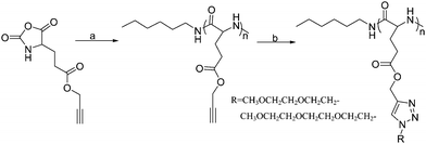 Synthesis route of the OEG-grafted poly(l-glutamate). Reagents and conditions: (a) n-hexylamine, DMF, 25 °C; (b) R-N3, CuSO4·5H2O, NaAsc, DMSO, 40 °C.