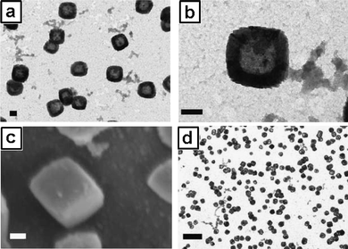 
          TEM images (a) scale bar = 100 nm and (b) scale bar = 100 nm, SEM image (c) scale bar = 100 nm and TEM image (d) scale bar = 500 nm of the PB nanoboxes obtained using a 4 wt% loading of EPE (60% EPE-Fe : 40% EPE-Br), 5 wt% oil phase and a 5 molar excess of FeCl3 relative to total surfactant end-groups.