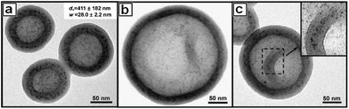 
          TEM micrographs of the vesicles with the incorporated NPs prepared from the combined solution of the PS235-b-PEO45 copolymer (0.5 wt%) and the PEO45-b-PS155-b-P(APb)25 micelles (0.5 wt%).