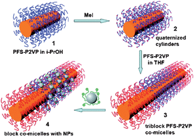 Schematic illustration of the formation of block co-micelles with NPs.
