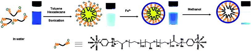 Schematic illumination of Prussian blue (PB) nanoshells produced through miniemulsion periphery polymerization (MEPP).