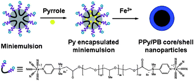 Schematic illustration of PPy/PB core/shell NPs produced via one-step miniemulsion polymerization.
