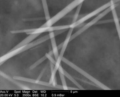 SEM image of fibers resulting from the self-assembly of conjugate 5 in water.
