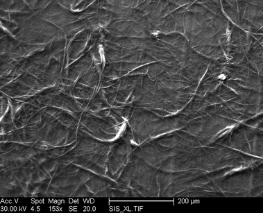 SEM images of fibers resulting from the self-assembly of 1 from CH2Cl2.