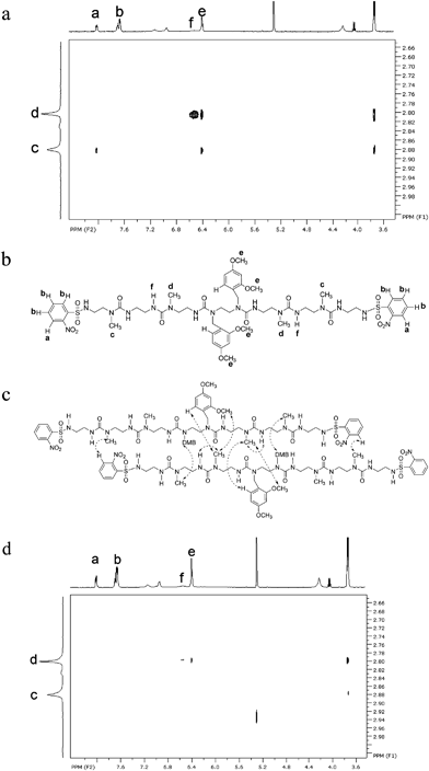 (a) Key part of the NOESY spectrum of N-alkyl urea peptoid 1 at a concentration of 10 mg ml−1 in CD2Cl2. (b) Structure of compound 1 with hydrogen atoms labeled corresponding to Figure 4a and 4d. (c) Through space couplings indicated by the NOESY spectrum on two molecules of 1. The through space couplings are shown by dashed double-headed arrows and DMB = 2,4-Dimethoxybenzene. (d) Key part of the NOESY spectrum of N-alkyl urea peptoid 1 at the concentration of 4 mg ml−1 in CD2Cl2.
