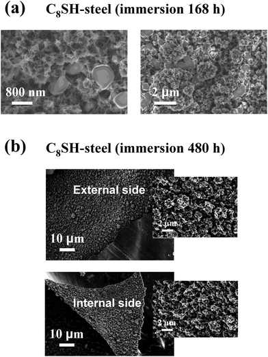 
            SEM micrographs of the PEDOT film deposited on C8SH-steel: (a) high (right) and low (left) resolution images of the surface after 7 days of exposure to a 3.5% NaCl solution; and (b) the internal and external sides washed with distilled water after 20 days of exposure to a 3.5% NaCl solution. Films were prepared considering a polymerization time of 300 s and the treated substrate was obtained by immersing the steel electrode into 50 mL of octanethiol by τ = 2 h.