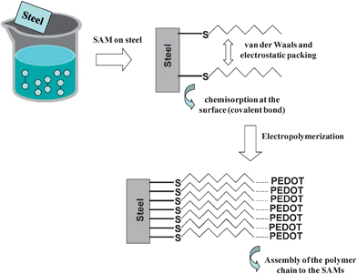 Scheme illustrating the formation of SAMs of alkanethiols and the electropolymerization of PEDOT on modified electrodes.