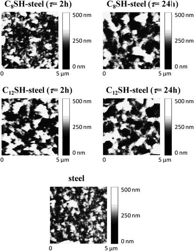 
            AFM height images of nanometric PEDOT films deposited on untreated-, C8SH-steel and C12SH-steel substrates. Films were prepared considering a polymerization time of 10 s. Pre-treated substrates were obtained by immersing the steel electrodes into 50 mL of alkanethiol by τ = 2 and 24 h.