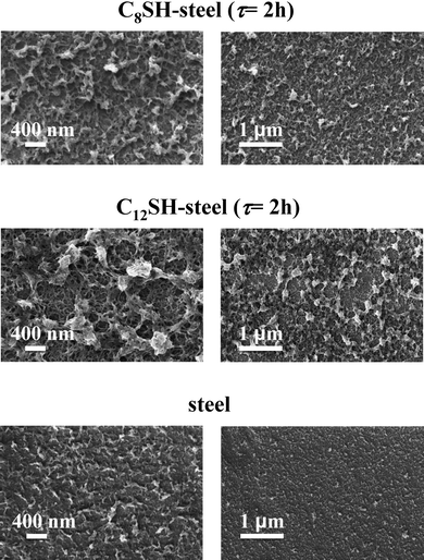 High- and low-resolution SEM micrographs (left and right, respectively) of PEDOT films deposited untreated-, C8SH- and C12SH-steel substrates. Films were prepared considering a polymerization time of 10 s. Pre-treated substrates were obtained by immersing the steel electrodes into 50 mL of octanethiol by τ = 2 h.