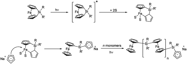 Mechanism for the photocontrolled ROP of silicon-bridged [1]ferrocenophanes (* = photoexcited; S = donor solvent, e.g.THF).