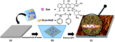 Schematic representation of Dox-loaded micellar membrane.