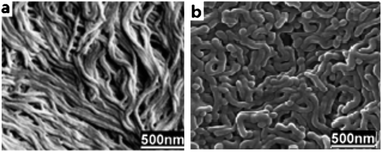 
            SEM images of the membrane cast from (a) PS120k-b-P4VP25k and (b) PS43k-b-P4VP59k DMF solution with concentration of 25 wt%.