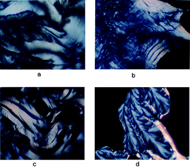 (a) Li–DNA was treated with 200 mM spermine and incubated in a glass slide at 37 °C—a fluid cholesteric phase was obtained after 3 h. (b) Cholesteric phase obtained after 3 h. with Na–DNA when treated with 200 mM spermine and incubated in a glass slide at 37 °C. (c) Cholesteric phase with tear shaped defects obtained after 3 h. with K–DNA when treated with 200 mM spermine and incubated in a glass slide at 37 °C. (d) Dendrimeric growth obtained after 1 week with Rb–DNA when treated with 200 mM spermine and incubated in a glass slide at 37 °C.