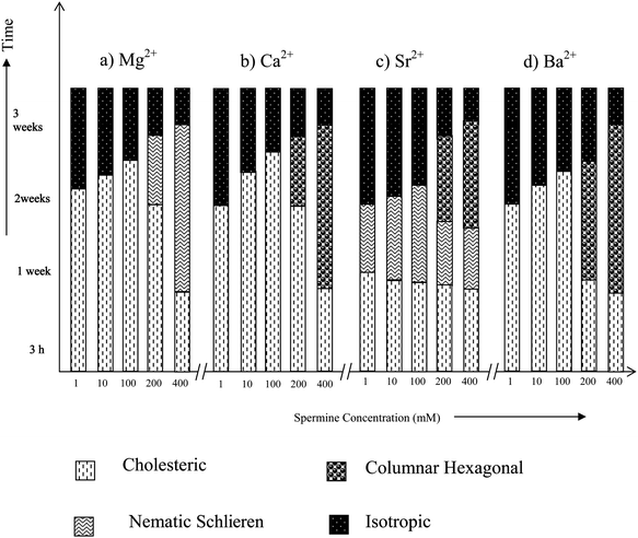 Time dependent phase transitions of spermine induced DNA condensates in the presence of alkaline earth metal ions.