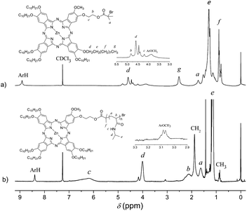 
            1H NMR spectra of (a) ZnPcBr and (b) ZnPc-PAM in CDCl3.