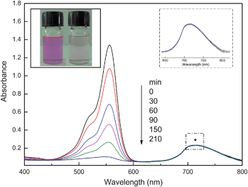 
            UV-vis spectral changes of RhB in aqueous solution (initial concentration: 5 × 10−5 mol L−1) as a function of irradiation time. [ZnPc-PAM] = 2 × 10−5 mol L−1, [H2O2] = 40 mL L−1, pH = 4.